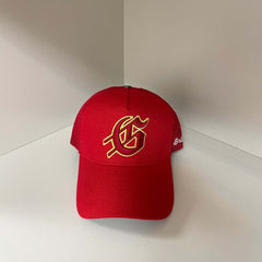 Godspeed hat caps Skull letter embroidered baseball cap Bent brim hat Men's and women's peaked